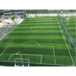 Football Turf